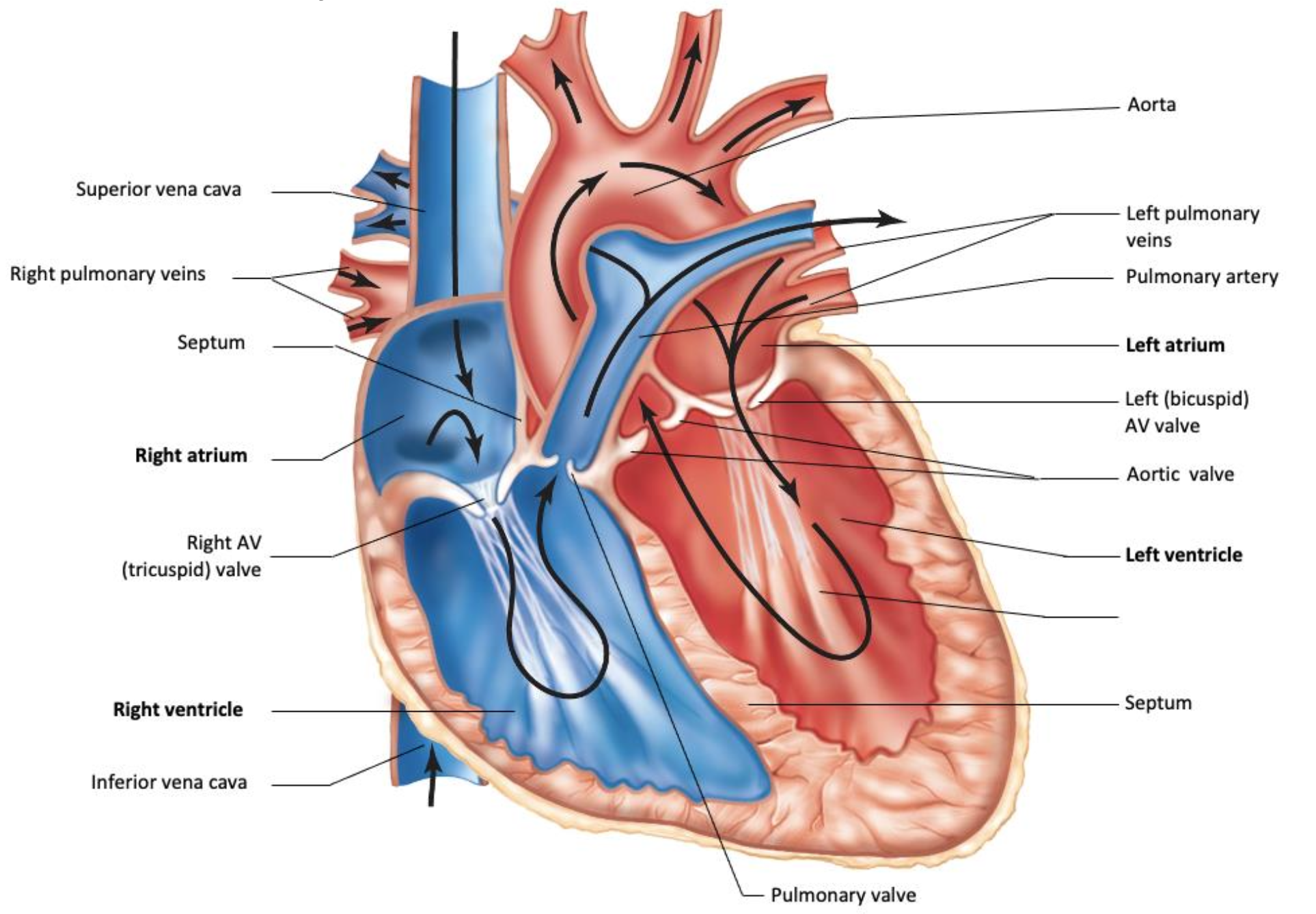 Screenshot 2025-03-22 at 17.06.10.png