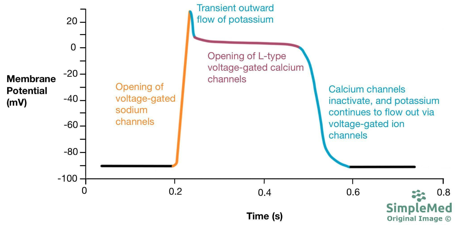 Screenshot 2025-03-22 at 18.15.56.png