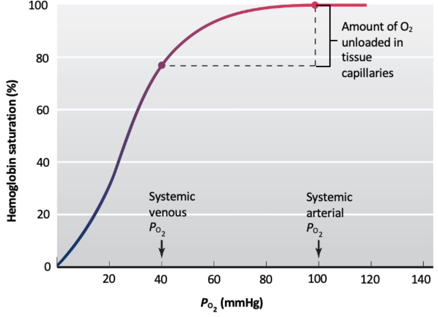 Screenshot 2025-03-22 at 20.43.09.png