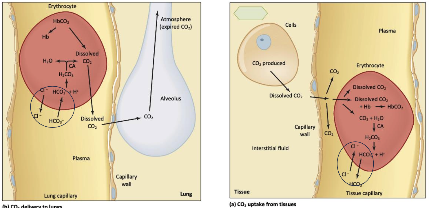 Screenshot 2025-03-22 at 23.45.52.png