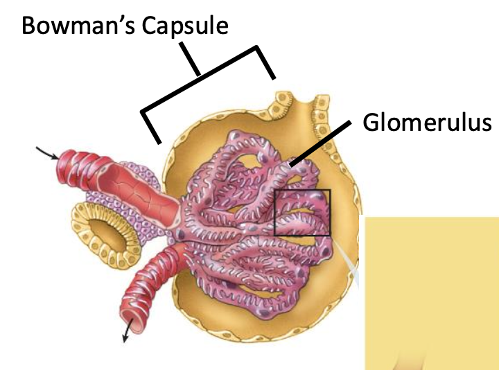 Screenshot 2025-03-28 at 11.26.40.png