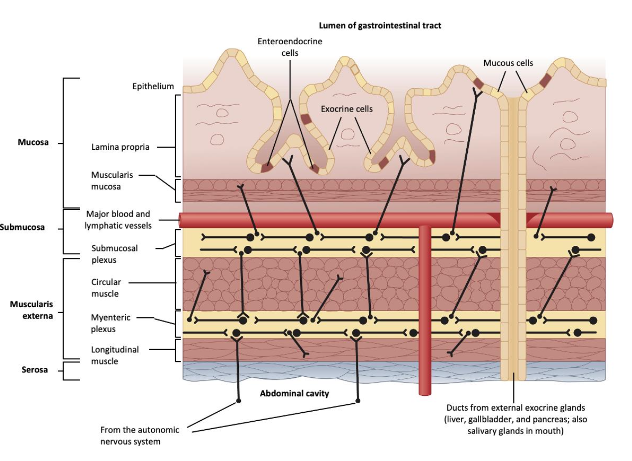 Screenshot 2025-03-31 at 12.44.37.png